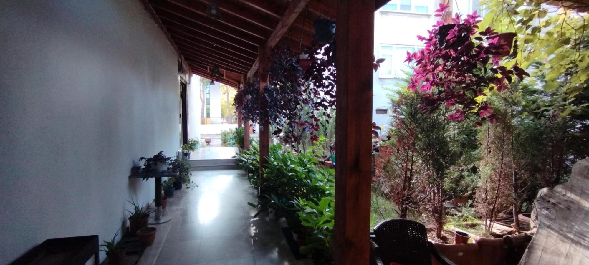 Ceneviz Suit Hotel Akçakoca Buitenkant foto